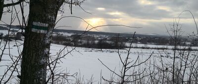 Sączów, kościół ↔ Dziewicza Góra [Piękne niebo na trasie]
