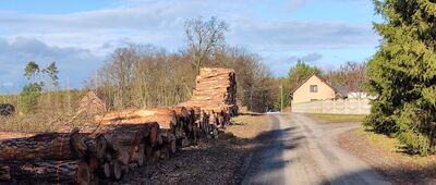 Rozejście szlaków ↔ Jaromiersko