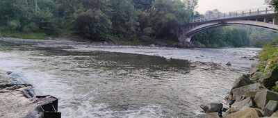 Milówka ↔ Schronisko PTTK Na Hali Boraczej [w pobliżu szlaku nad rzeką Sołą]
