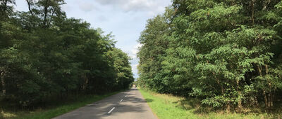 Lubrza, łowisko ↔ Staropole