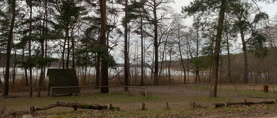 Nowy Młyn ↔ Kuźnica Zbąska