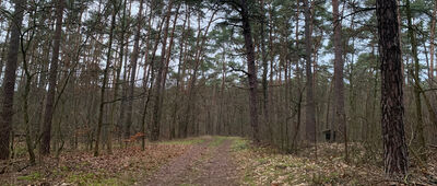 Nowa Wieś ↔ Nądnia