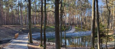 Pierwszy Staw na potoku Pustelnik