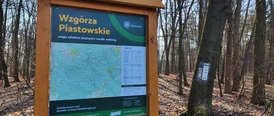 Zielona Góra, amfiteatr [Wzgórza Piastowskie od strony amfiteatru]