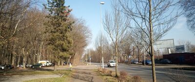 Gliwice, park