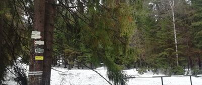 U Huberta [U Huberta]