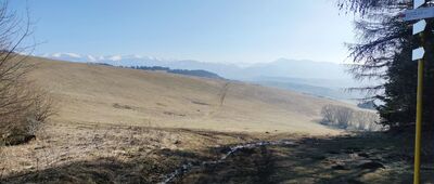 Sedlo pod Kráľovou