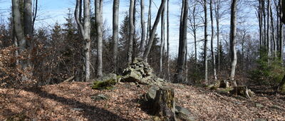 Pod Rogaczem ↔ Czernichów, ul. Roztoki [Suchy Wierch 781m]