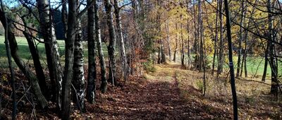 Závrchy, rozc.