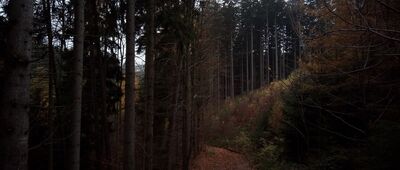 Nad Chlívci, rozc. ↔ Nad Chlívci, bus