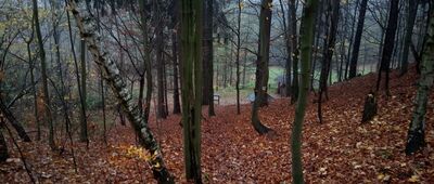 Studánka pod Jánským vrchem