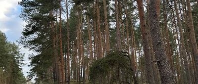 Rozejście szlaków czerwony / czarny