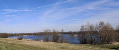 Krzyżanowice ↔ Šilheřovice [Polder Buków - widok z wału]