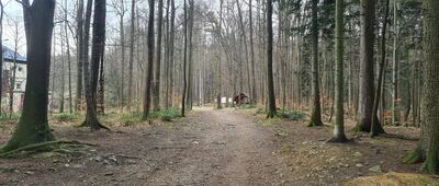 Bielsko-Biała, rozejście szlaków ↔ Bielsko-Biała, ul. Pocztowa