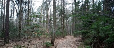 Michniów, dojazd pożarowy 9, parking ↔ Jaskinia Ponurego