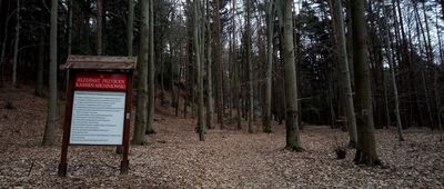 Jaskinia Ponurego ↔ Rezerwat Kamień Michniowski