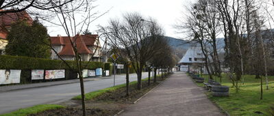 Ustroń, ul. Doktora Michała Grażyńskiego ↔ Ustroń, rondo Miast Partnerskich