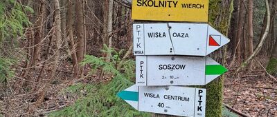 Wisła, ul. Lipowa ↔ Wisła, ul. Skolnity