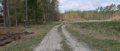 Bagno, kościół ↔ Oborniki Śląskie, rozejście szlaków