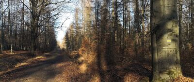 Droga Sierakowska ↔ Łącza, pomnik [Sierakowska w kierunku na Łącza]