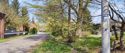 Siedlec ↔ Kamienica nad Nysą Łużycką [Kamienica nad Nysą Łużycką]