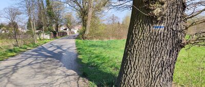 Kamienica nad Nysą Łużycką ↔ Trzebiel