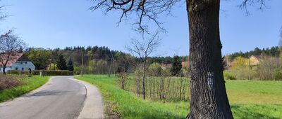 Bieniów ↔ Ścieżka edukacyjna Dolina Szyszyny