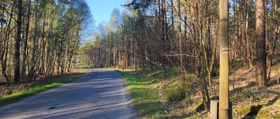 Droga do Dychowa ↔ Bronków [Droga z Bronkowa do Brzezinki]