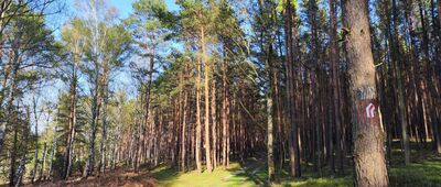 Rozejście szlaków ↔ Rozejście szlaków