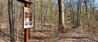 Skrzyżowanie szlaków ↔ Skrzyżowanie szlaków [W Zielonym Lesie jest również ścieżka geologiczno-górnicza]