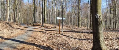 Skrzyżowanie pod Górą Żarską