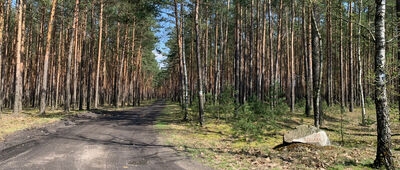 Skrzyżowanie przy jeziorze Głębokim