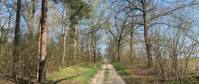 Lisia Góra ↔ Jabłoniec