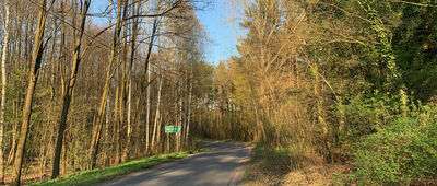 Droga do Dychowa ↔ Bronków