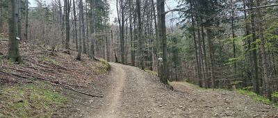 Rozejście szlaków ↔ Odejście do chaty drwali