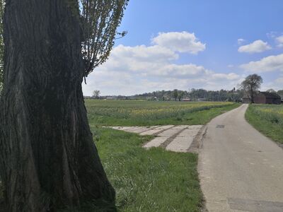 Górujący kościół parafialny pw. Narodzenia NMP