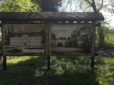 Zdjęcia pałacu Eichendorffów sprzed lat