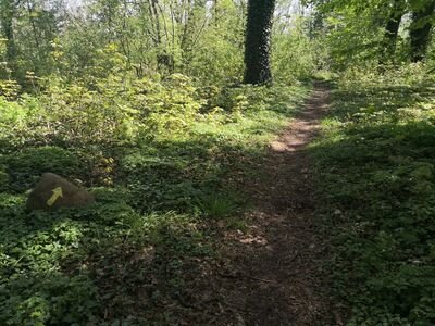 Park wokół Pałacu