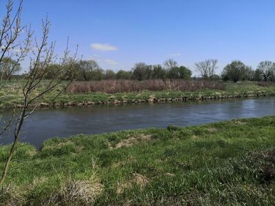 Odra, między Brzeźnicą i Miedonią