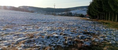 Rozdroże nad Świerkami ↔ Rozdroże nad Świerkami Dolnymi