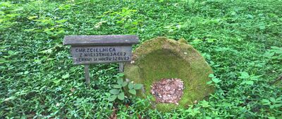 Wołtuszowa, cmentarz łemkowski