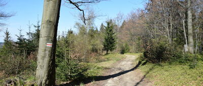 Skrzyżowanie pod Smrekowicą ↔ Nad Przełęczą Beskidek