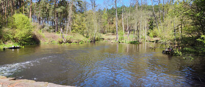 Pliszka, Łapinóg [Mała zapora na Pliszce]