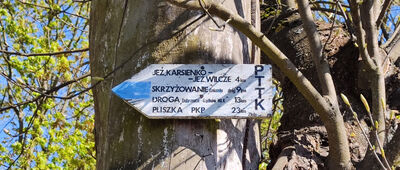 Torzym, dworzec kolejowy [Początek szlaków w Torzymiu]