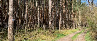 Rozejście szlaków czerwony / niebieski