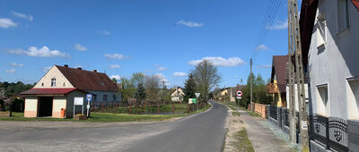 Skórzyn