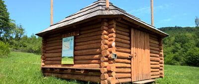 Świerzowa Ruska (była), zbiorowiska nieleśne