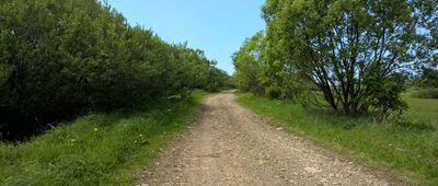 Świątkowa Wielka ↔ Świątkowa Wielka, granica parku narodowego