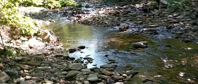 Torfowisko Wołosate, wiata ↔ Koniec ścieżki przyrodniczej Ustrzyki Górne - Wołosate