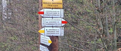 Przełęcz Zakocierska